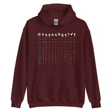 Load image into Gallery viewer, Mystic Glyphs Hoodie

